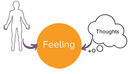 anatomy of a feelingsm
