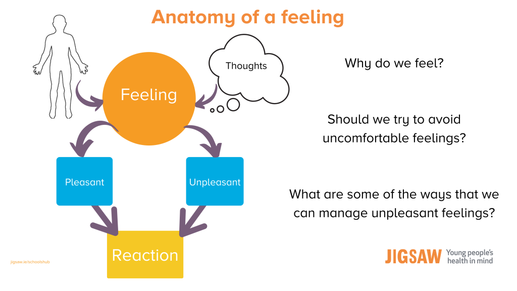 Anatomy of a feeling