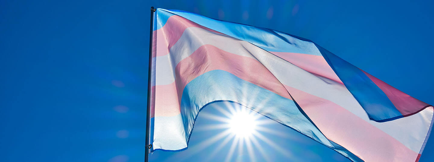 trans gender flag in the sunshine