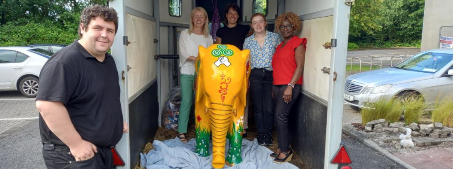 Tipperary Jigsaw address the Elephant in the Room