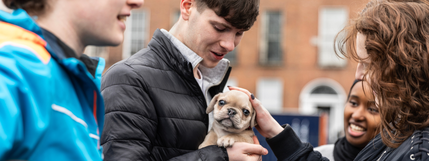 young people admiring a puppy (1440 x 540 px)